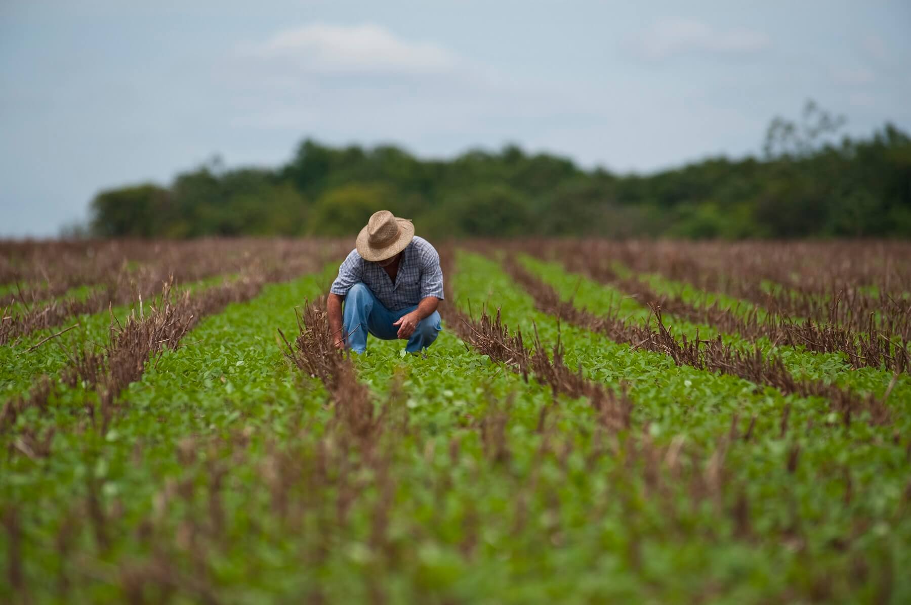 Produtor Rural